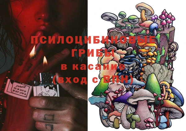 гашик Магадан