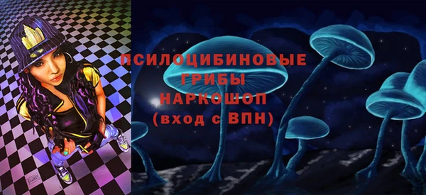гашик Магадан