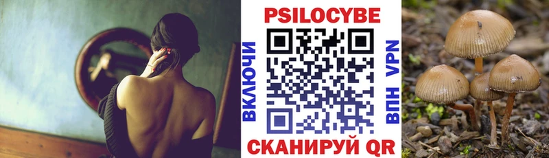 Купить где  Черногорск  Псилоцибиновые грибы Magic Shrooms 