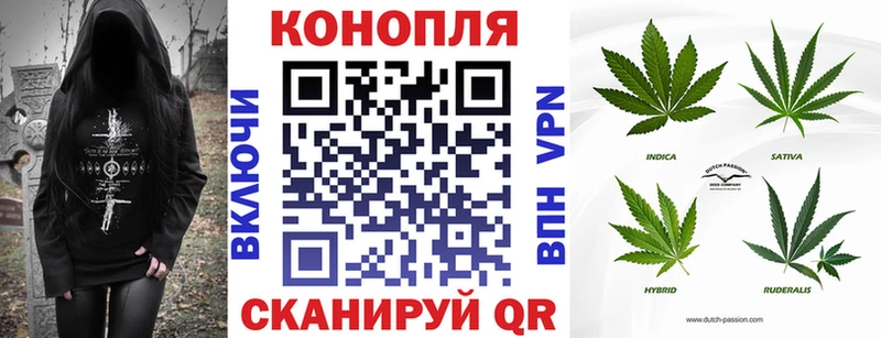 Купить  Черногорск  Бошки марихуана White Widow 